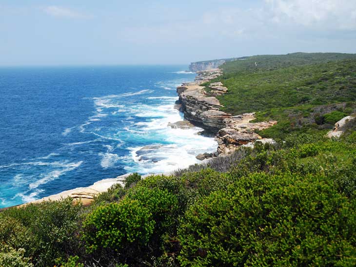 Royal National Park in Sydney.