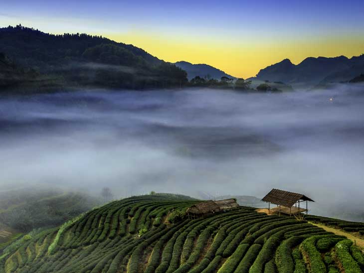 The hills around Chiang Mai, Thailand.