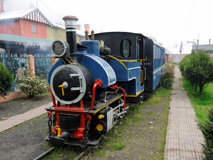 The Toy Train in Darjeeling.