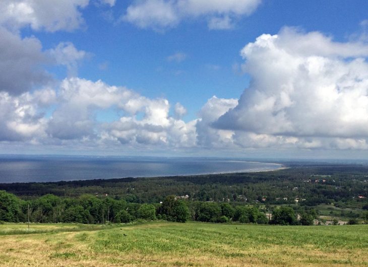 The view from NIvå 125 Båstad on Hallandsåsen, Sweden.