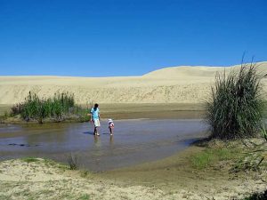 New Zealand with kids..