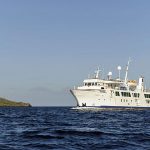 Isabella II in Galapagos.