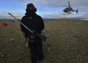 Martin Enckell is an Expedition Leader in the Polar Regions.