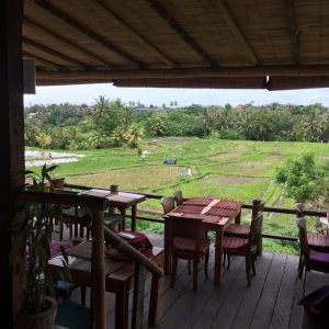 View over the rice paddies from Sari Organik Restaurant in Ubud.