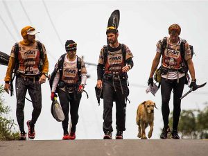 Arthur the dog in ARW 2014. Photo by Krister Göransson / Peak Performance