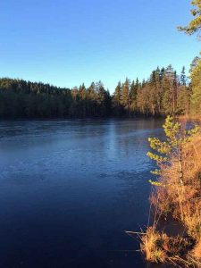 A sunny winter day by the lake at Camp Sävenfors, Sweden.