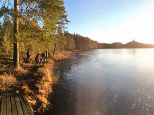 One of the lakes around Camp Sävenfors in Hällefors, Sweden.