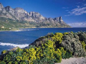 Bay around Cape Town.