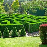 Maze at Vandusen Botanical Gardens in Vancouver.