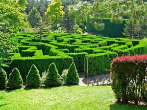 Maze at Vandusen Botanical Gardens in Vancouver.