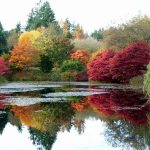 Vandusen Botanical Gardens in Vancouver during autumn.