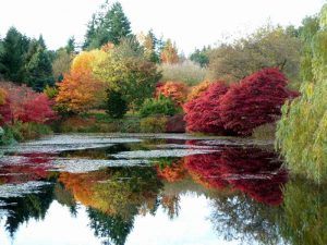 Vandusen Botanical Gardens in Vancouver during autumn.