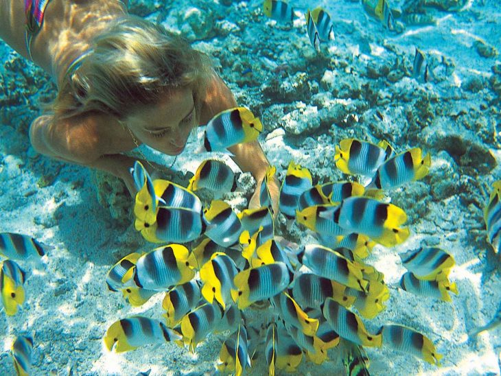 French Polynesia is a paradise both below and above the water surface.