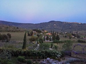 Il Falconiere seen from the winery at dusk