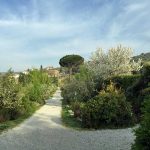 The walkway towards the Baracchi Winery at Il Falconiere.