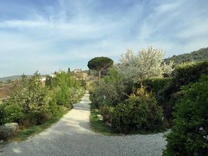 The walkway towards the Baracchi Winery at Il Falconiere.