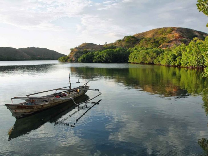 Rinca Island, Indonesia.