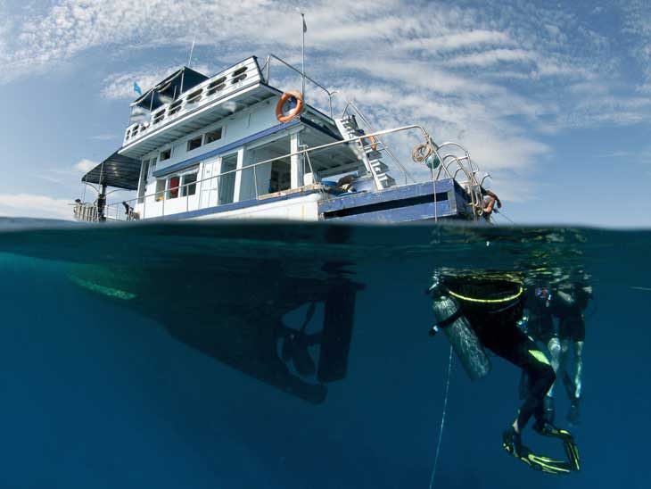 diver and boat