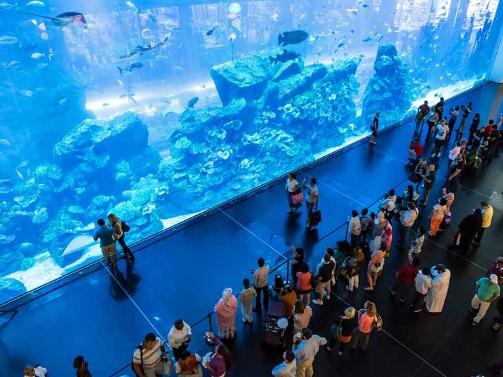 Aquarium Dubai Mall