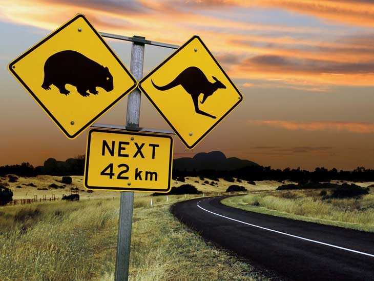 Australian Road Sign. Kangaroo Next 42 km.