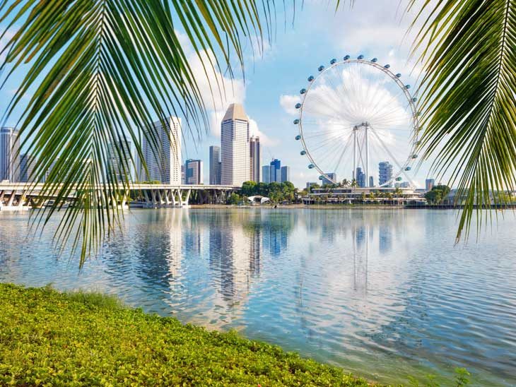 Singapore skyline with palms in front.