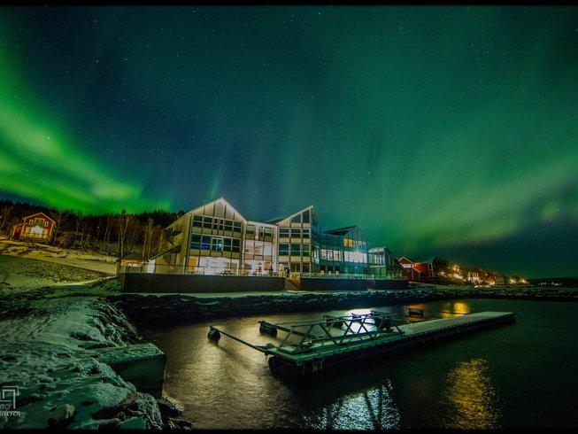 Northern Lights in Norway during winter. 