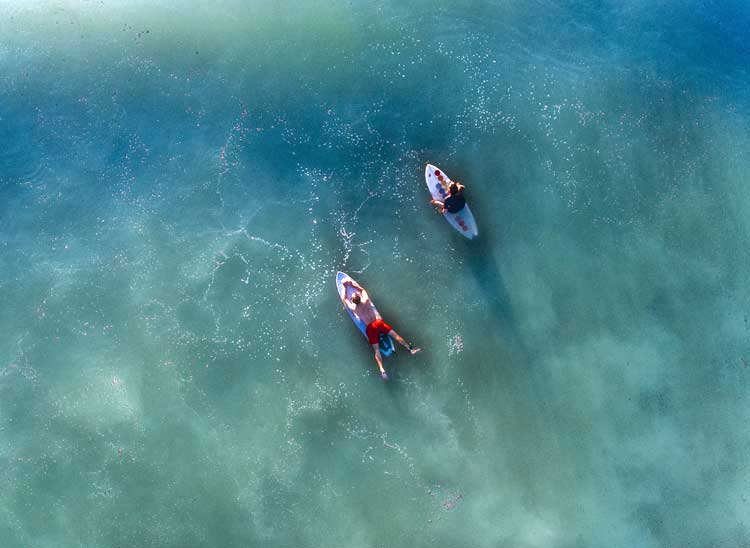 Surfers waiting for the next big wave.