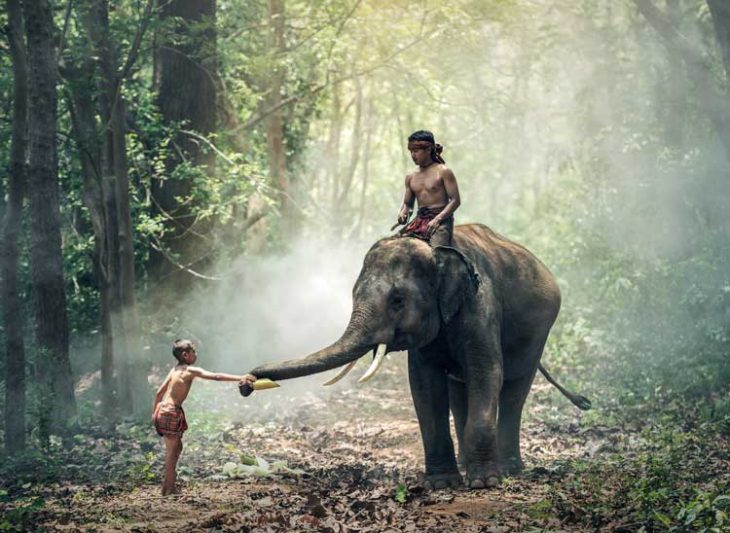 Vietnamese children riding an elephant.